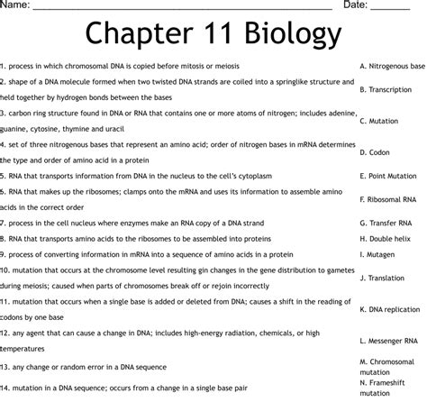 Ib Biology Worksheet School Of Medical Sciences Worksheets Library