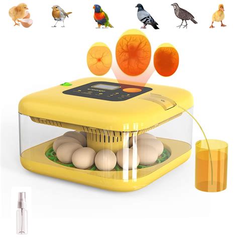 Buy Egg Incubators For Hatching Eggs Online In Botswana At Low Prices