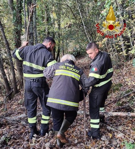 Va A Cercare I Funghi Ma Si Perde Nel Bosco Donna Soccorsa Dai Vigili