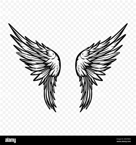 Vector Wings Icon Vintage Angel Wings Icon Design Template Clipart