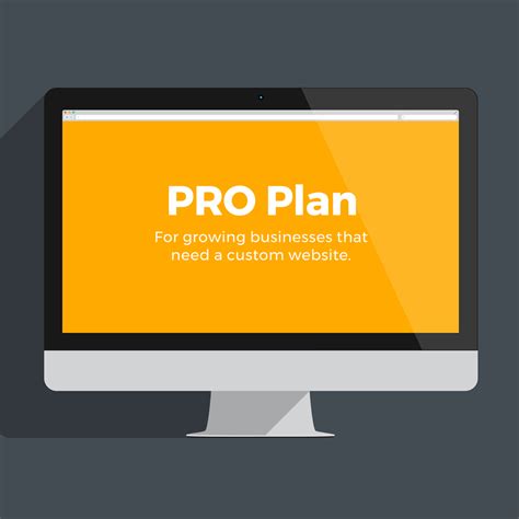 Pro Plan - Brian Dominey Design