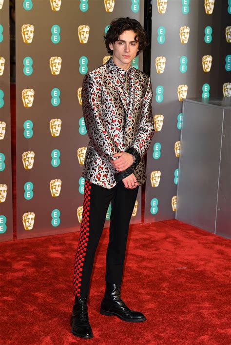 Timothée Chalamet's 22 Best Style Moments Ever | Who What Wear