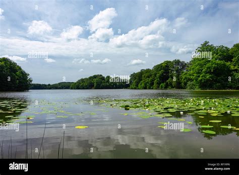 Skane sweden lake hi-res stock photography and images - Alamy