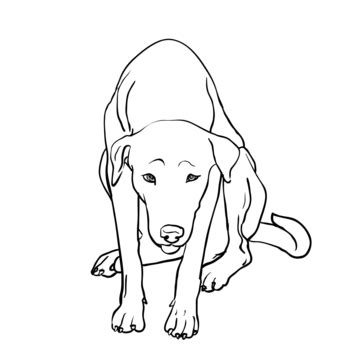 Cachorro Vira Lata Desenho - Desenho De Cachorro Vira Lata Triste Desenho Vira Lata Adorável Vetor ...