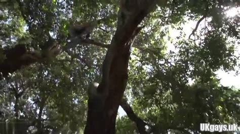 Latin Gay Interracial And Creampie BoyFriendTV