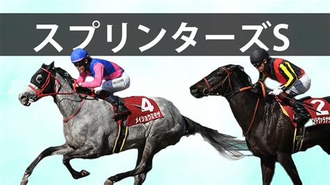 【スプリンターズステークス2023予想】注目馬3頭過去の傾向から導くデータ解析 ウマダネ