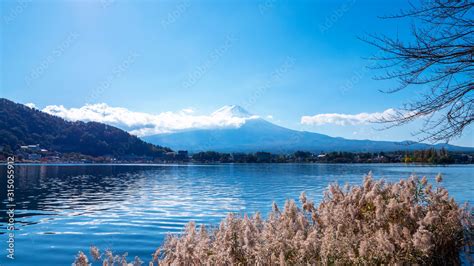 Fuji Mountain with lake and tree over blue sky and cloud at Kawaguchiko ...