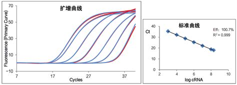 Evo M Mlv 一步法 Rt Qpcr 试剂盒（探针法） 艾科瑞生物