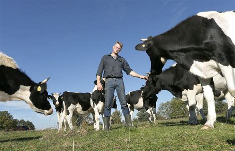 Boeren Zonder Stikstofuitstoot Natuurmonumenten