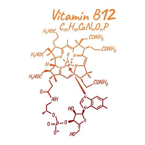 Vitamin K With Food Label And Icon Chemical Vector Image