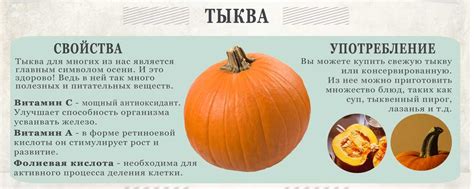 Кабачковые семечки: польза и вред для организма, лечебные свойства и ...