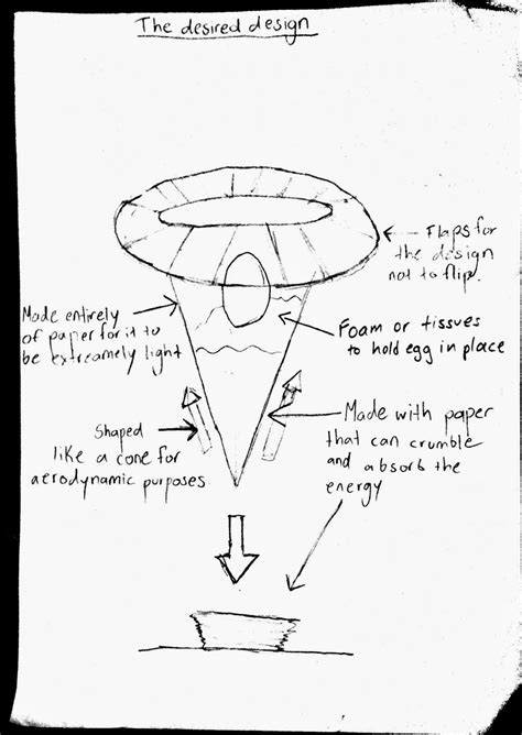 Physics Egg Drop (Daniel, Lorenzo, Franck)