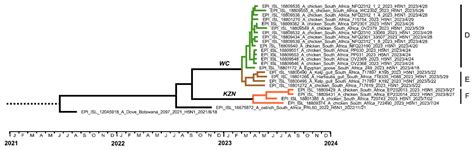 Viruses Free Full Text Outbreaks Of H5n1 High Pathogenicity Avian Influenza In South Africa