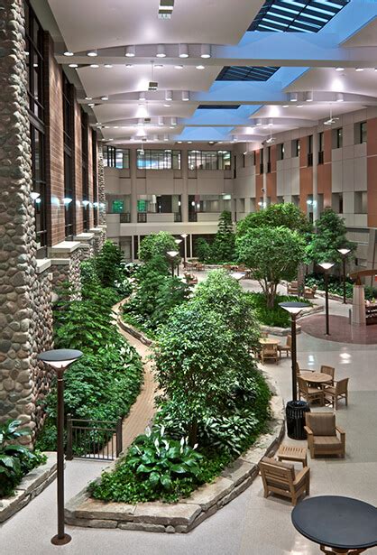 Therapeutic And Healing Gardens For Hospital Interiors