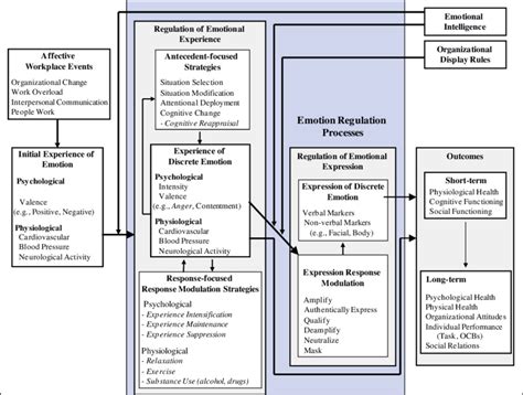 Framework Of Emotion Generation Emotion Experience Regulation And Download Scientific Diagram