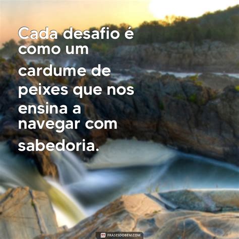 Frase Com A Palavra Peixe - Descubra Frases Inspiradoras com a Palavra Peixe para Refletir e ...