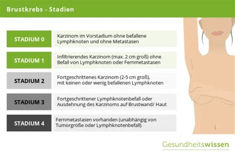 Diagnose Brustkrebs Das Sind Ursachen Symptome Behandlungen