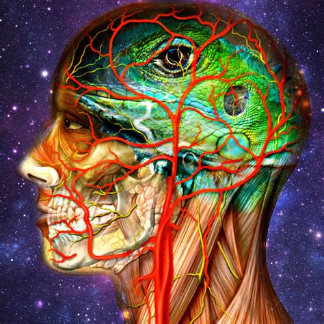 Art Human Anatomy Lizard Brain | Fine Digital Art