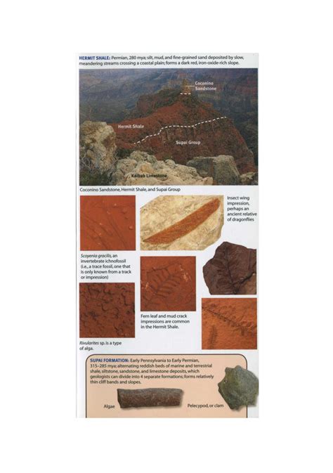 Mac's Pocket Guide: Grand Canyon Geology – Grand Canyon Conservancy Store