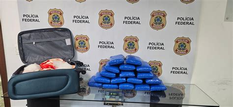 Pf Prende Mulher Kg De Maconha No Aeroporto Do Gale O Pol Cia