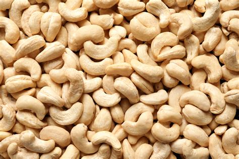 Incredible Cashew Benefits A Scrumptious Nut For Your Health Healthwire