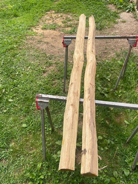 Black Locust Bow Staves Etsy