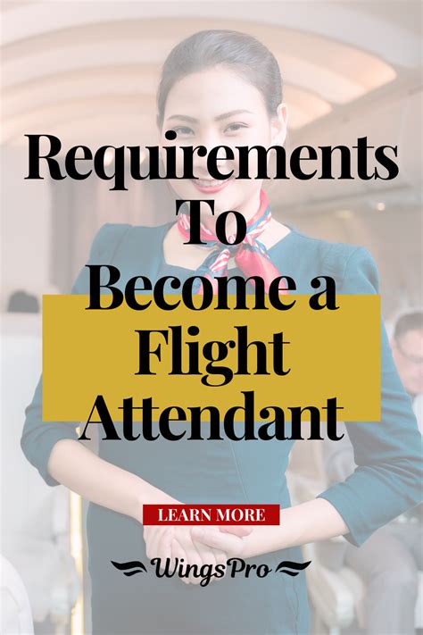 Check Out Our List Of Bizarre Flight Attendant Requirements Artofit