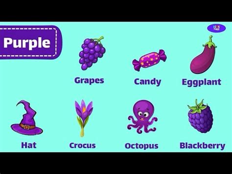 purple learning colors  kids purple colour objects