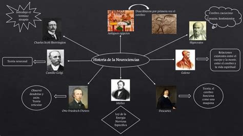 Historia De La Neurociencias Descubrimientos Clave Ppt