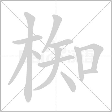 木字旁加一个知念什么字？《椥》怎么读？