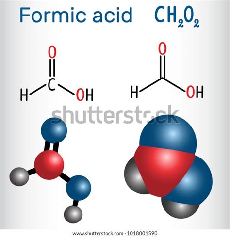 Formic Acid Ant Over 38 Royalty Free Licensable Stock Vectors And Vector Art Shutterstock