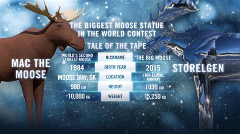 Canada, Norway mayors fight over world's largest moose | CTV News