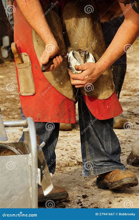 The Farrier, Trimming the Frog Stock Image - Image of size, hands: 27941667