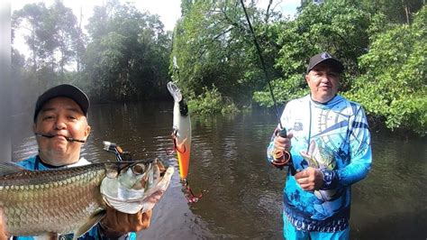 Meus Deus Do C U Isca Fatal Para Tarpon Assim Bateu Fisgou