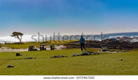 Point Joe Del Monte Forest California Stock Photo 1072467260 Shutterstock