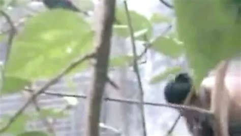 Hot Desi Bangladeshi Bhabi Sexy Nuddy Gosol Xhamster