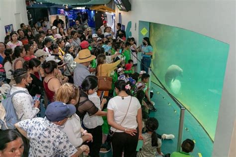 7 500 Personas Disfrutaron Del Martes Gratuito Del Aquarium Del Puerto