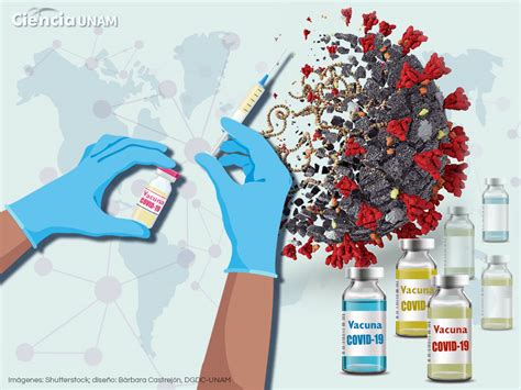 Coronavirus Los animales también necesitan vacunas Ciencia UNAM