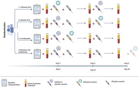 Timing And Sequence Of Vaccination Against Covid And Influenza