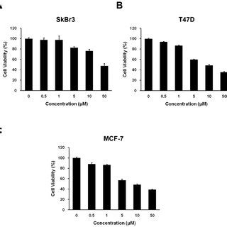 Effect Of Hs On Pi K Akt Signaling Pathway In Skbr Cells A The