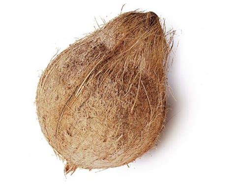 Semi Husked Coconut Inaexport