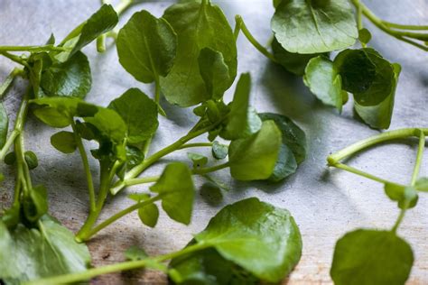 Watercress Benefits | Bursting With Vital Vitamins & Minerals