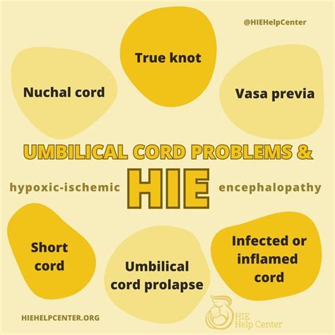 Understanding Umbilical Cord Complications