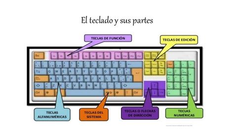 Teclado Con Sus Partes