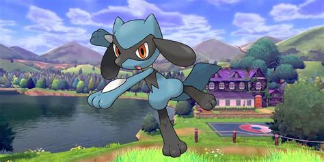 Pokemon Spada E Scudo Dove Catturare Riolu E Come Farlo Evolvere In