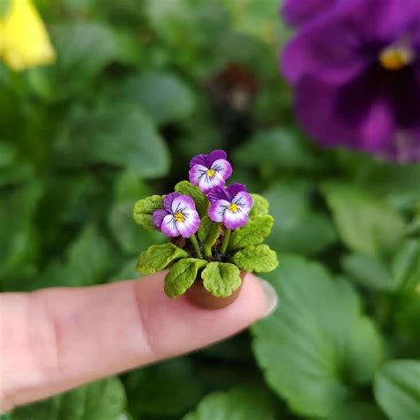 Pin By Maria Rosaria On Miniature In Fairy House Crafts Tiny