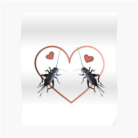 "Cockroaches scare girls cute memes" Poster for Sale by abderachid ...