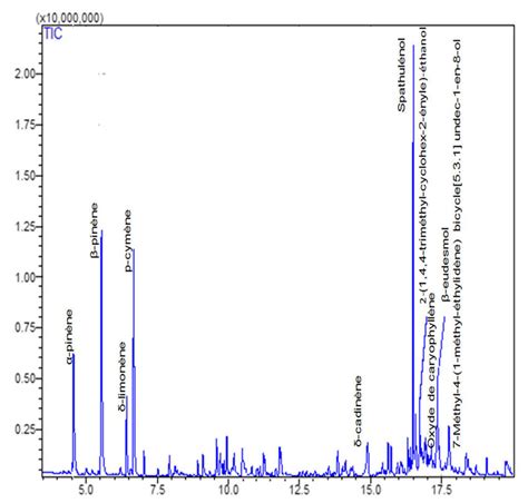 Chromatogramme De L Analyse De L Huile Essentielle D A Campestris L