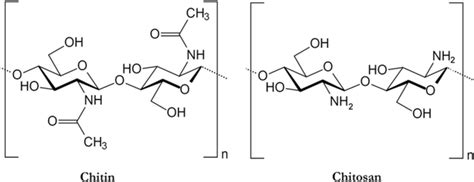 Chitin 2 acetamido 2 deoxy β d glucopyranose and chitosan