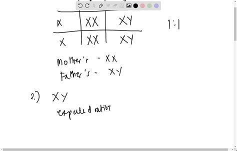 Solved B Genetic Diagrams Are Used To Show How Sex Is Inherited Complete The Genetic Diagram